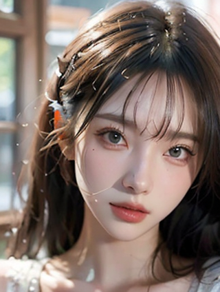 生物与手段：探索生命科学的奥秘